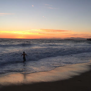 Meet your Posher, Franklin